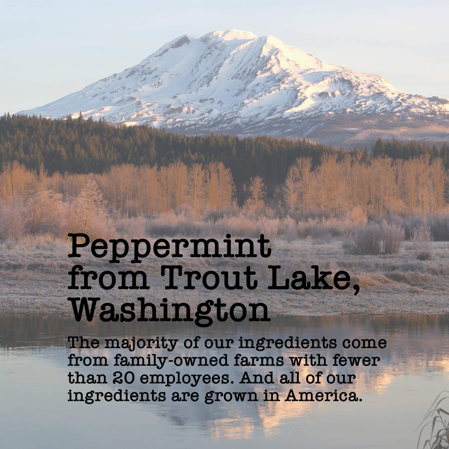 Organic Peppermint 15-20 Servings Eco Conscious Zip Pouch Caffeine Free 0.88 Ounce Small - Image 4