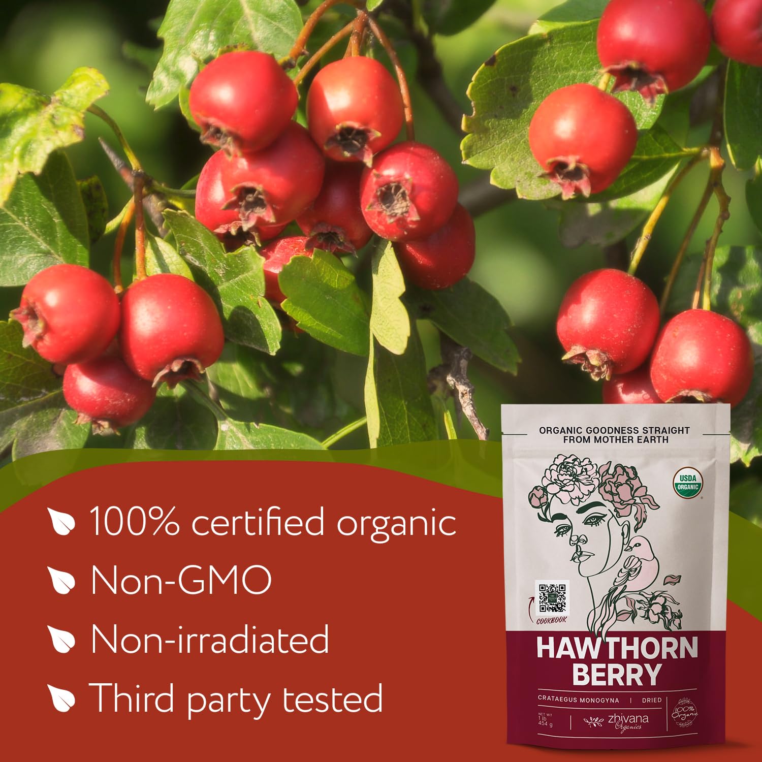 Organic Hawthorn Berry Tea 16 oz. High Blood Pressure Heart Health Support Relaxation - Image 4