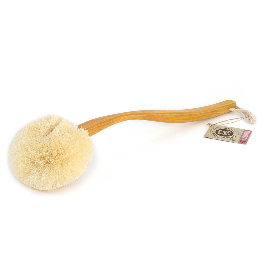 Back Brush with Long Handle