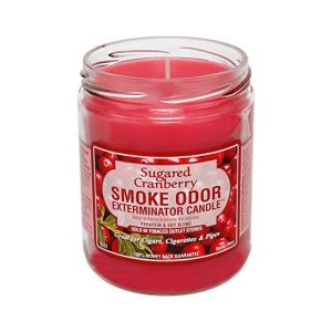 Sugared Cranberry Smoke Odor Exterminator Candle 13oz