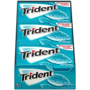 Trident Wintergreen Sugar Free Gum, 14 Pieces