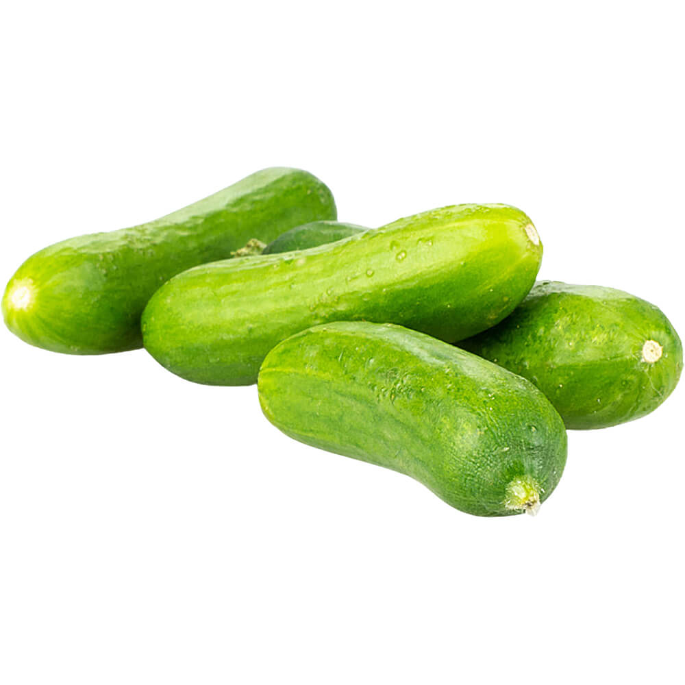 Baby Cucumber - Image 2