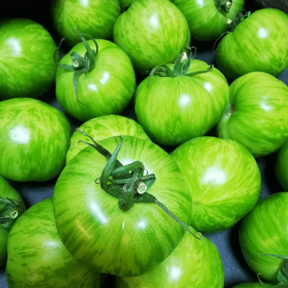 Tiger Tomatoes - Image 4