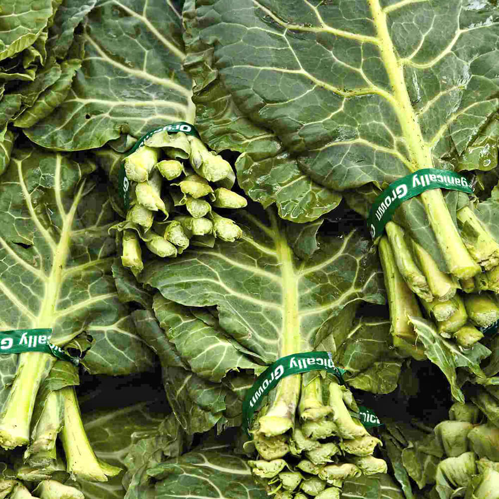 Collard Leaves | Sukuma - Image 3