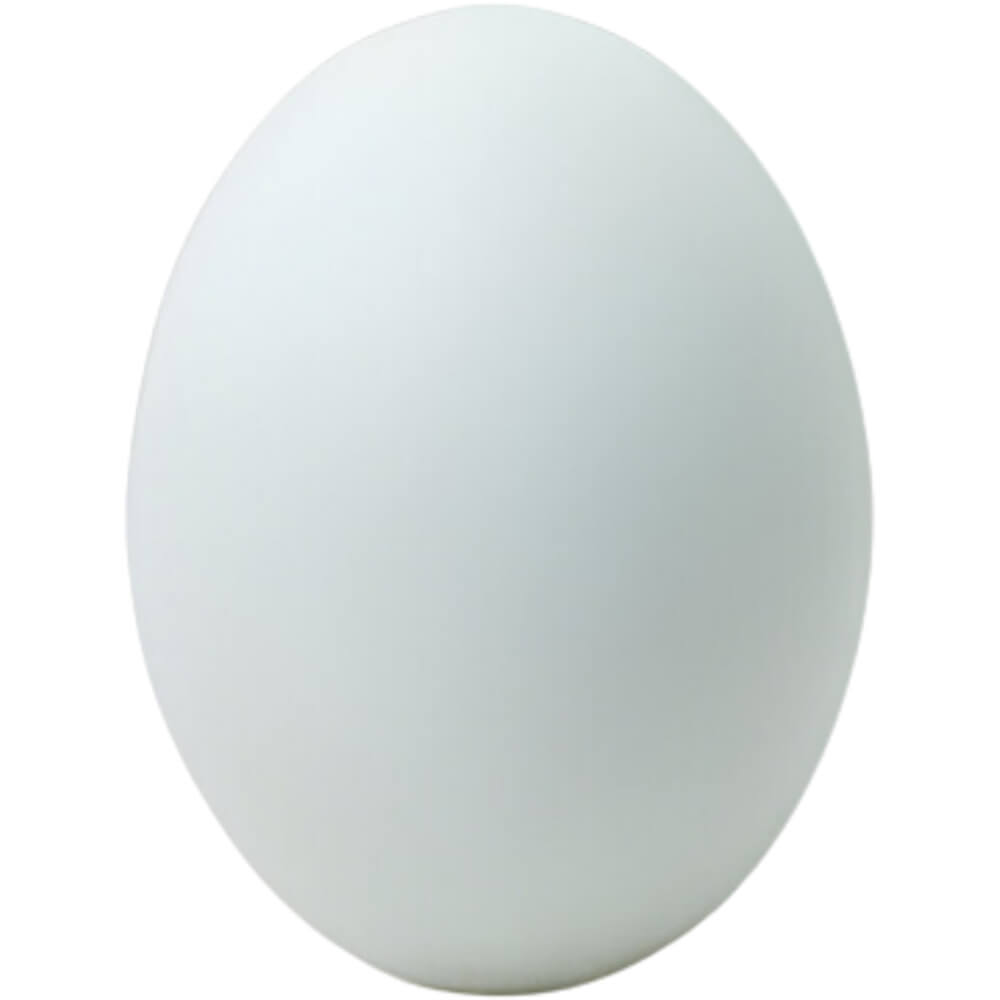 Duck Eggs - Image 3