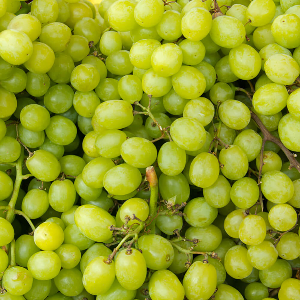 Grapes Green Seedless - Image 5