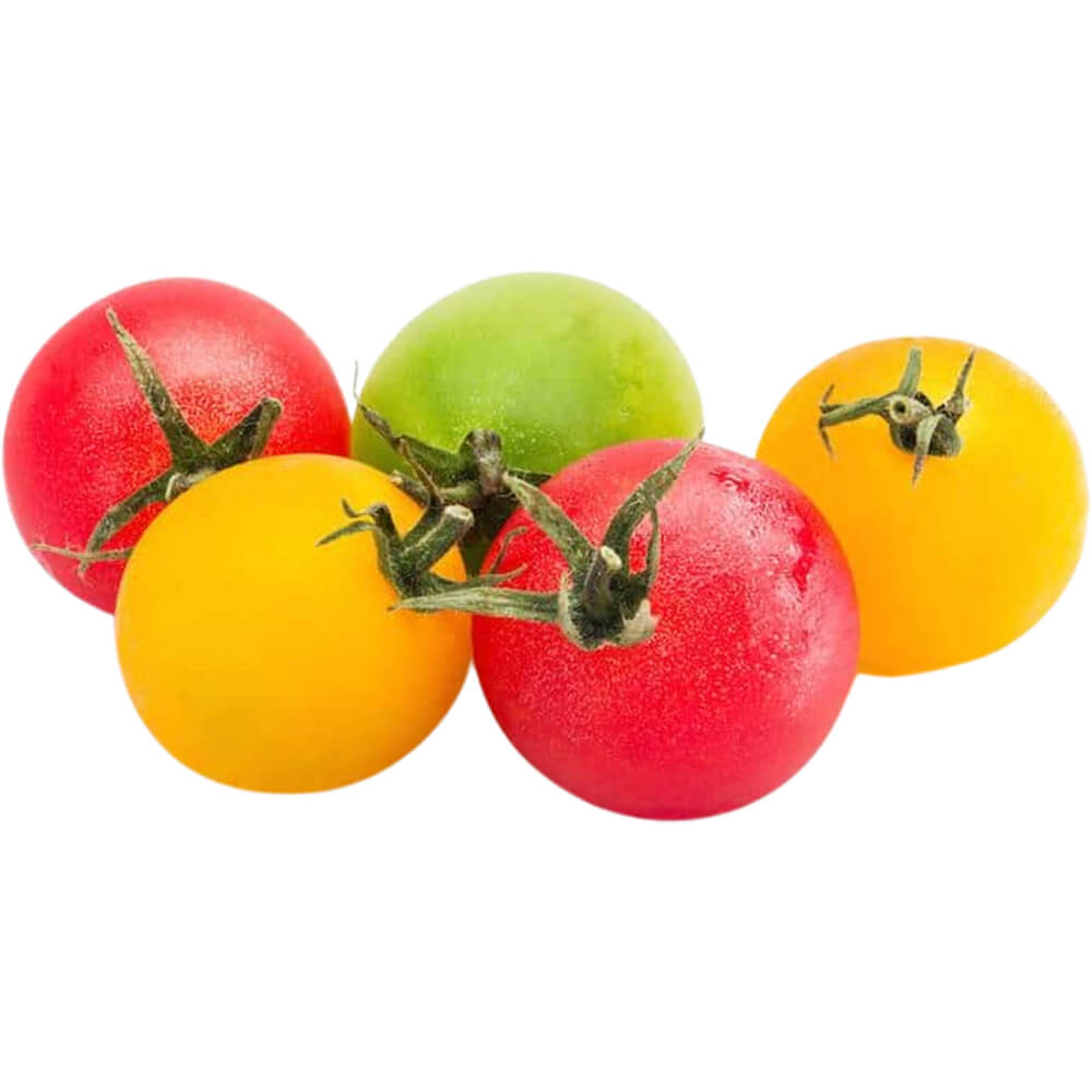 Tomato Cherry Mix Shaker - Image 2