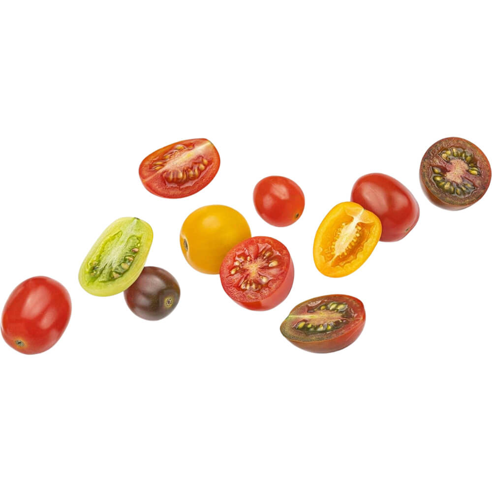 Tomato Cherry Mix Shaker - Image 3