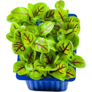 Vene Cress