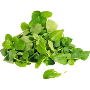 Watercress Leaf – Specialty Greens
